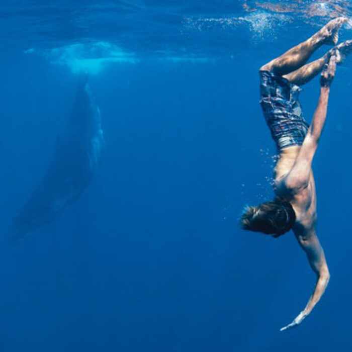 Dave Rastovich Minds In The Water