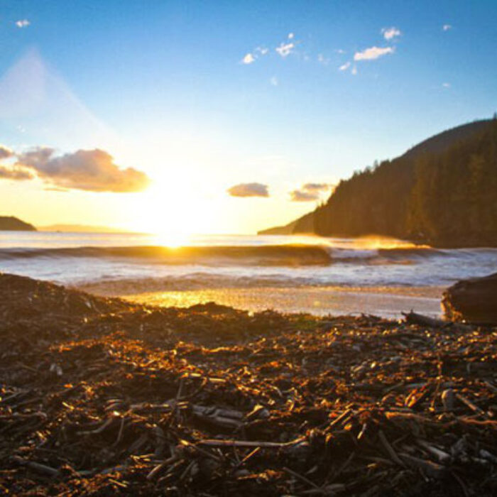 Port Renfrew Canada