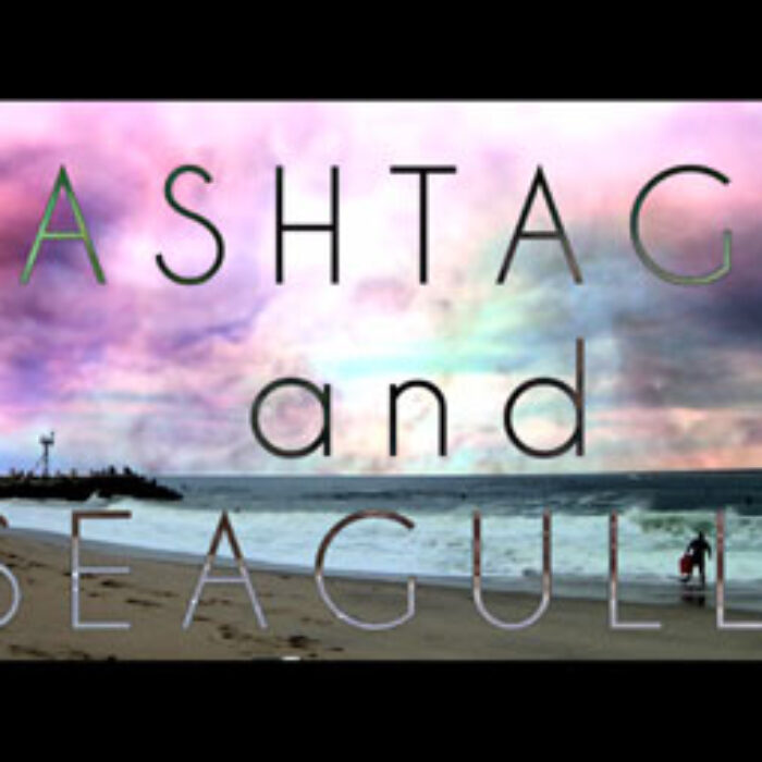 Hashtags and Seagulls