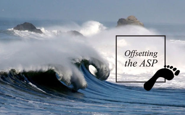 Carbon-Offset carbon offsetting asp