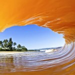 Red Dirt. Photo: Clark Little Red Dirt. Photo: Clark Little