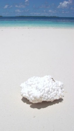 plastic on every beach in the world