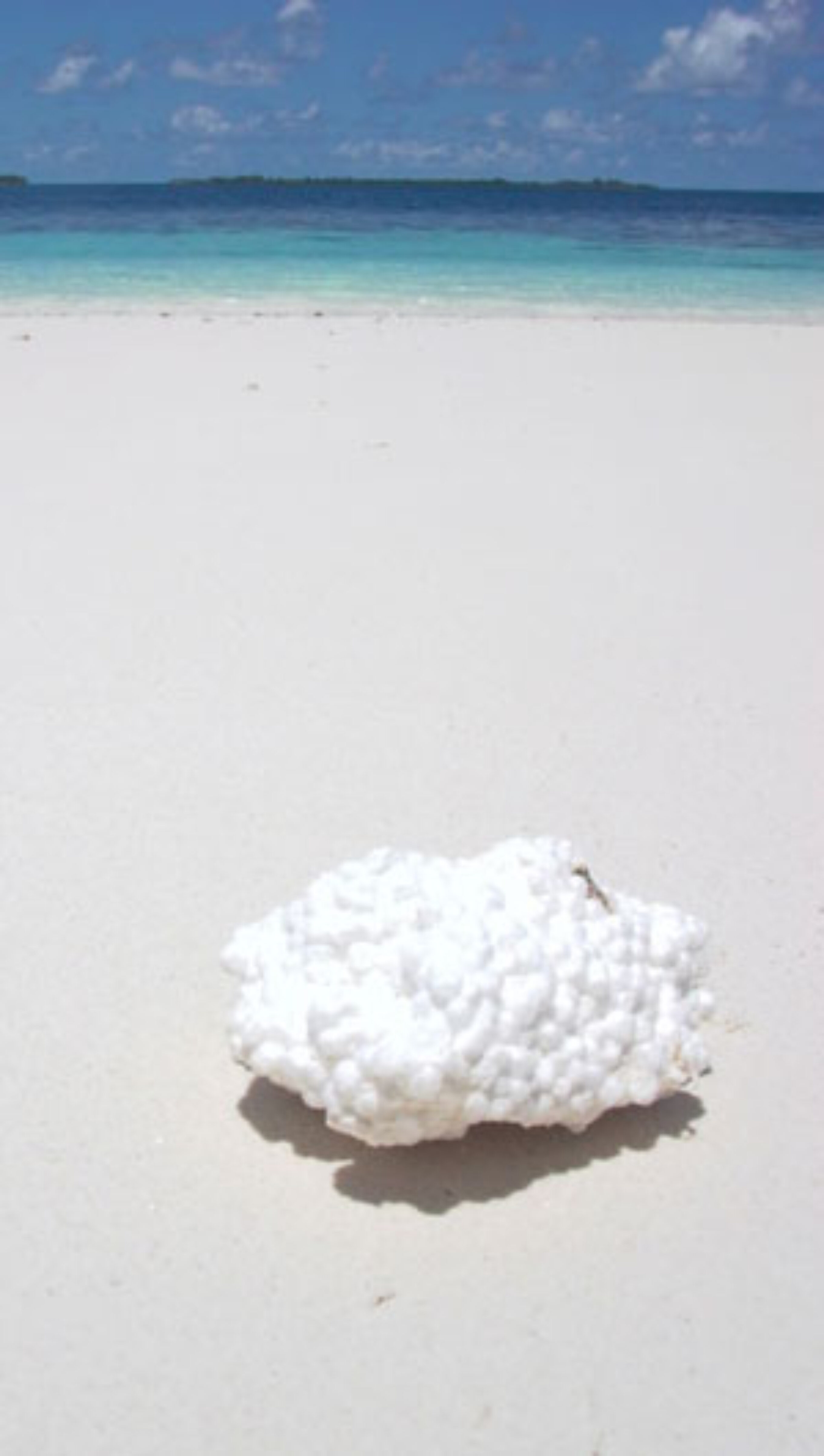 plastic on every beach in the world