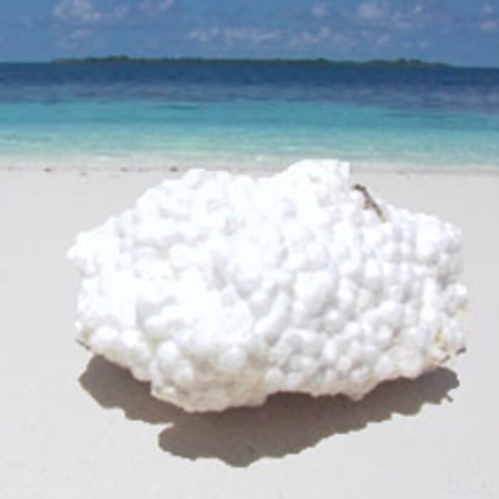 stryofoam on beaches
