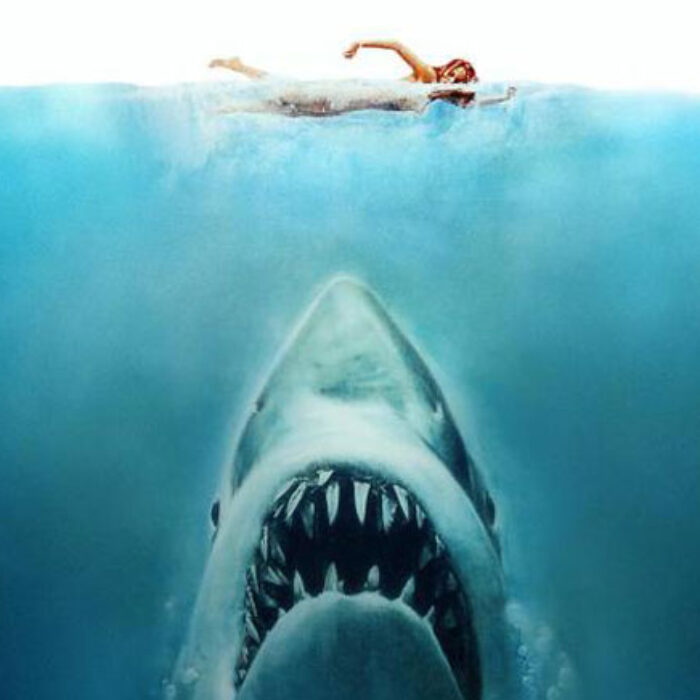 shark stories