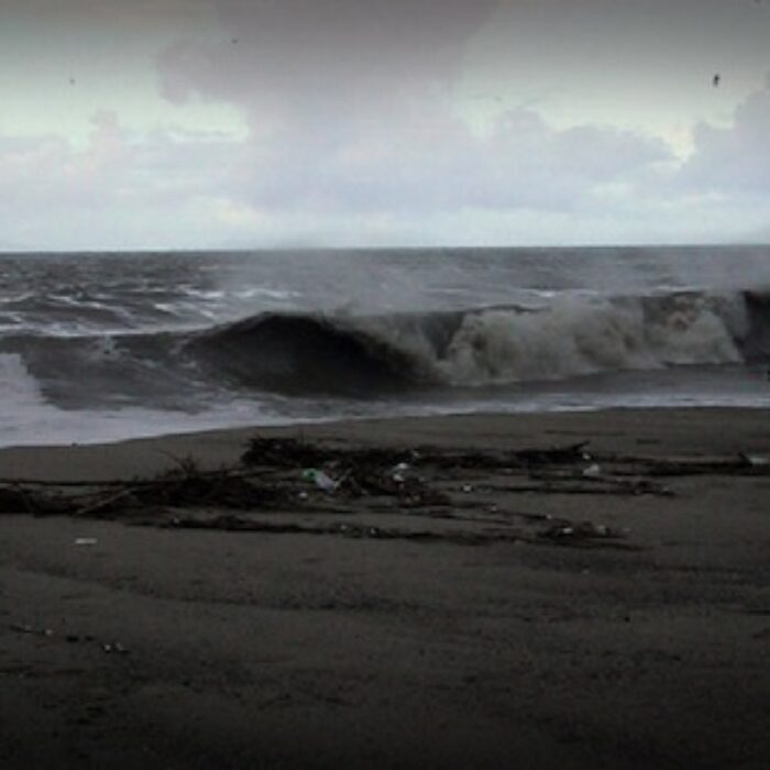 Beach Closure Pollution