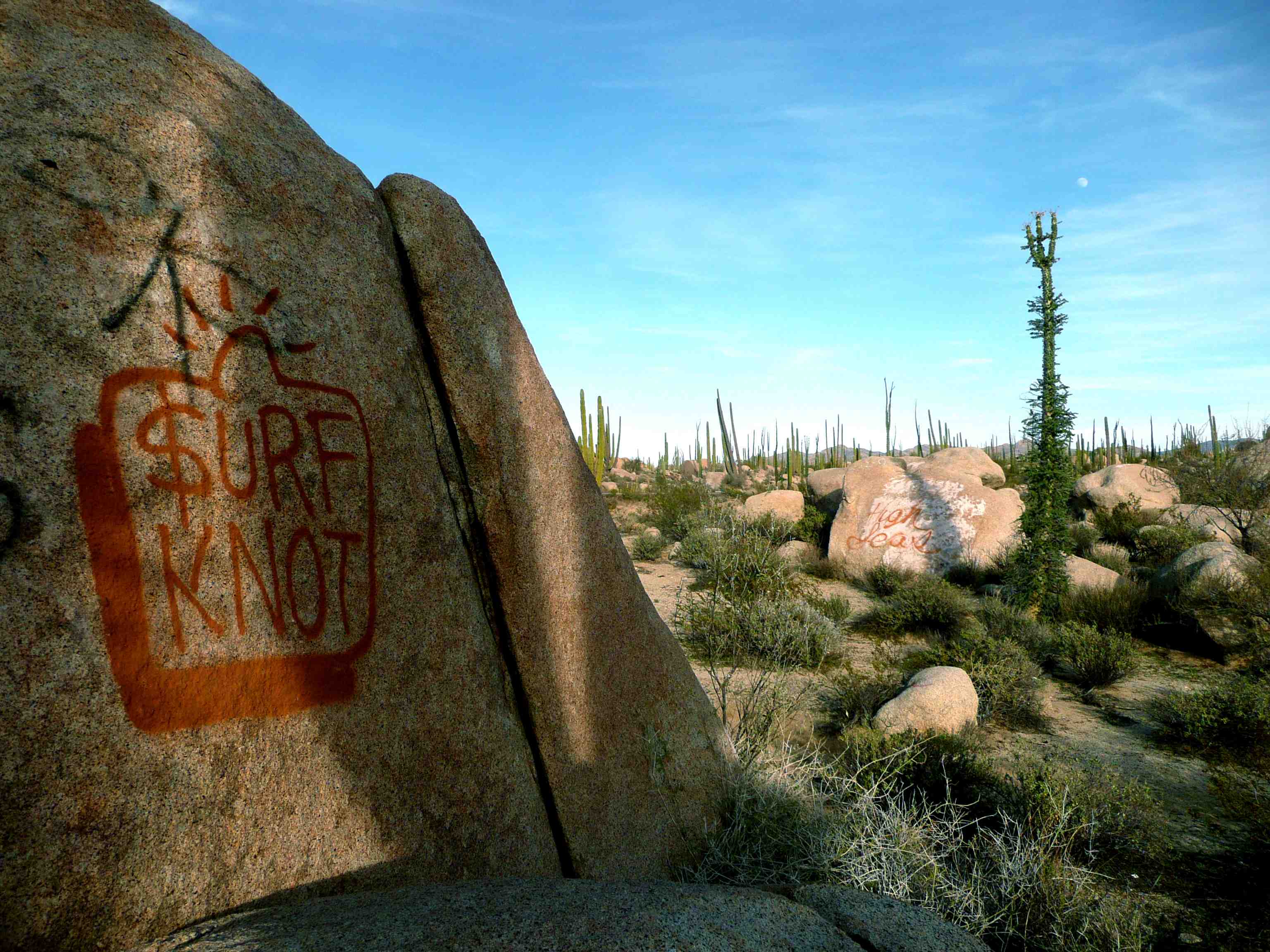 The graffitti in question.