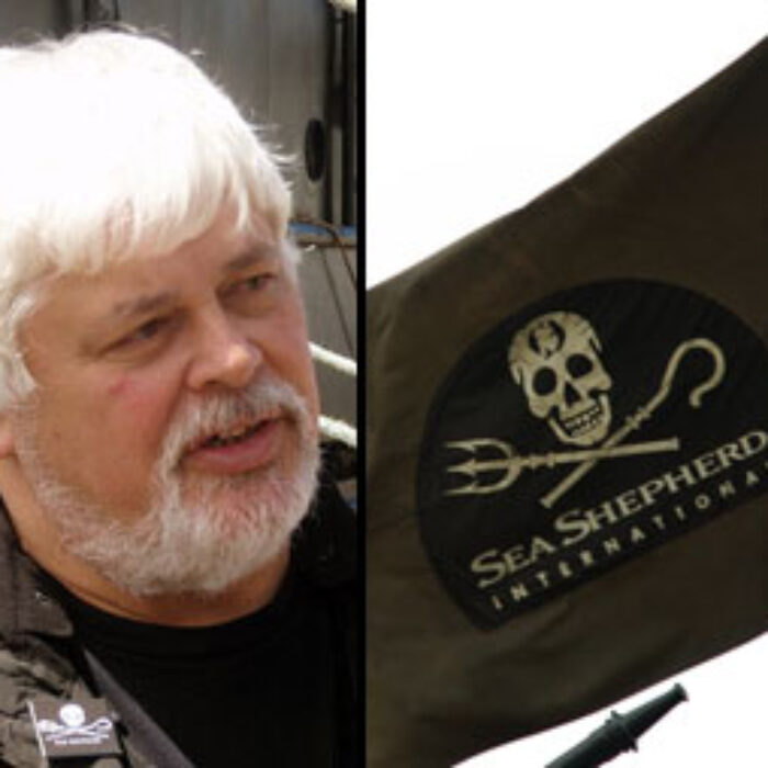 Paul Watson Sea Shepherd