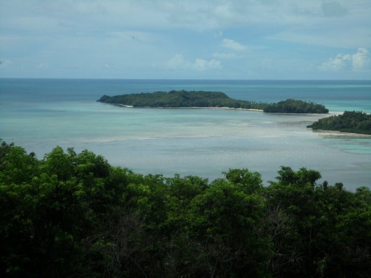 Overlooking coral and forest in the Republic of Palau. Overlooking coral and forest in the Republic of Palau.