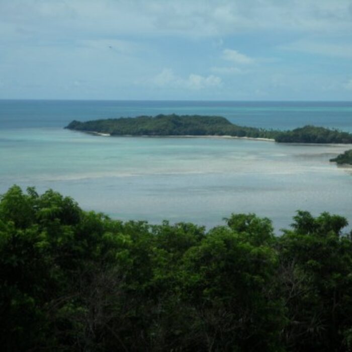 Rain Forests Surf Spots