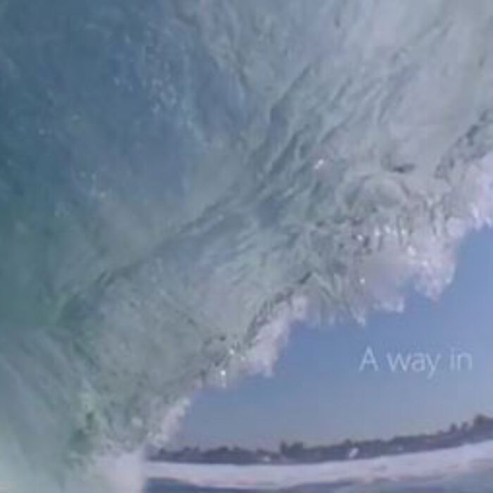 We speak from the perspective of surfers and non-surfers alike. From that of naturalists, conservationists, and environmentalists. From nature lovers and ocean lovers. From young and old. Scaled and finned. From all over the oceans, all around the globe.