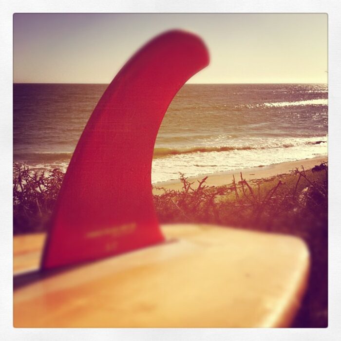 Longboard FIn