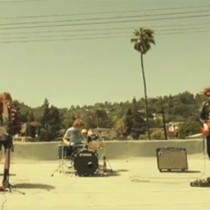 FIDLAR Fuck It Dog Life's a risk