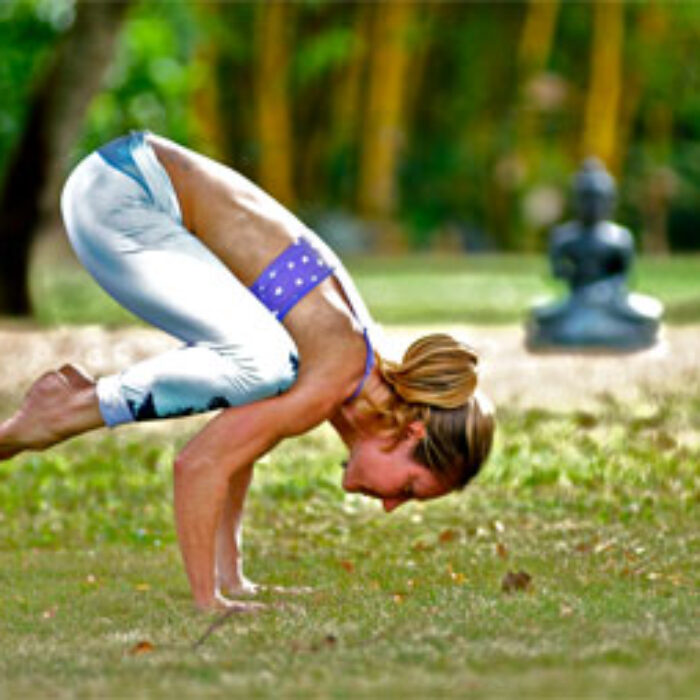 The crane pose in yoga, also known as the Bakasana, is a compact arm balancing posture that helps in strengthening the arms as well as the abdominal organs.