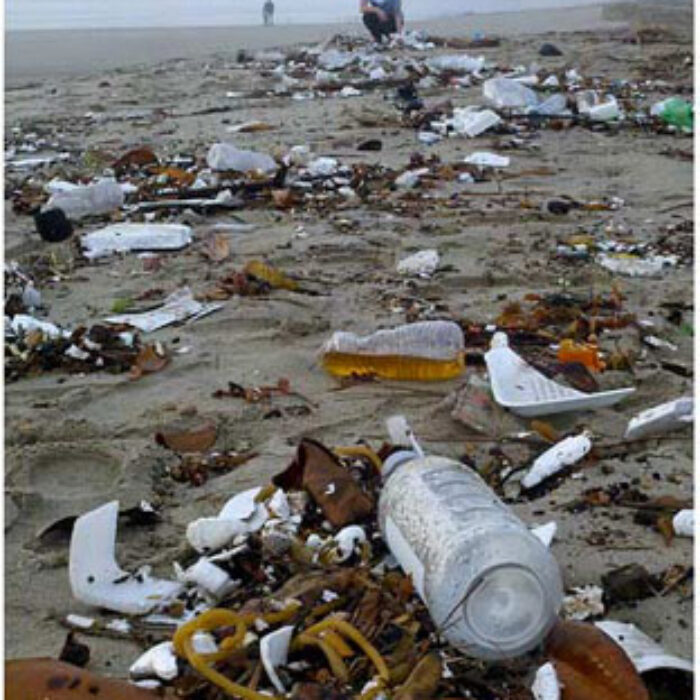 You've seen the ads. Pristine beach... not a speck of sand out of place... a cold beer sitting just out of reach... clean water as far as the eye can see.