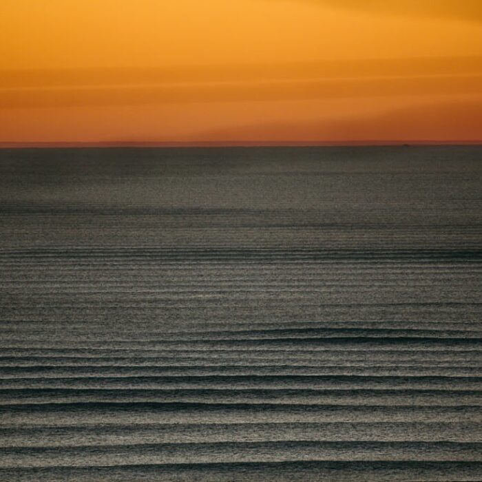 Corduroy. Photo: Jeremiah Klein