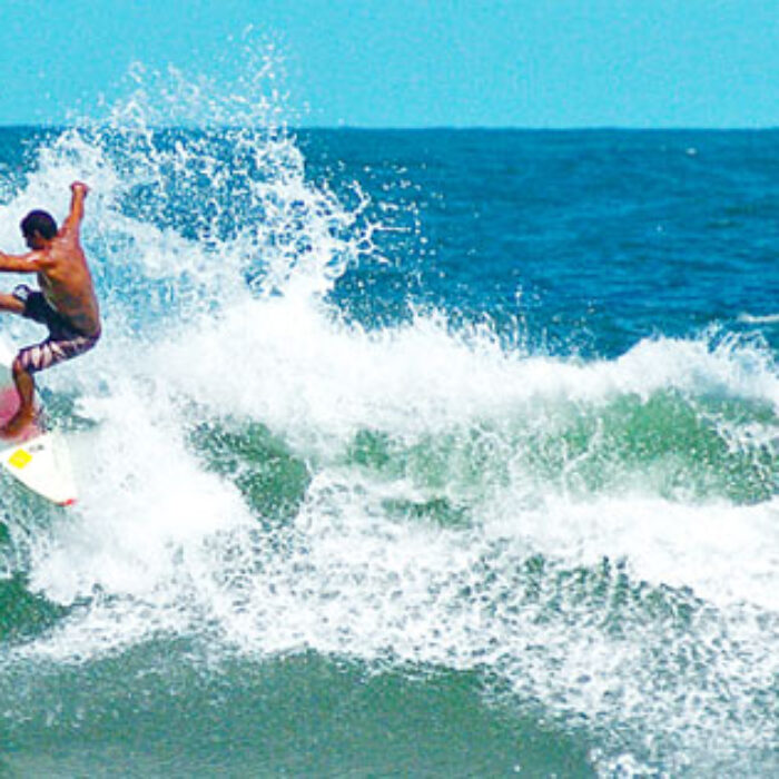 Professional surfer Willy Correa has seen the landscape of Itacare change, as more palm trees are cut down for hotel development and rainforest sacrified for monocroping - an agricultural practice of planting only one crop, often destroying the soil. Photo: Surf Channel/Shannon Q