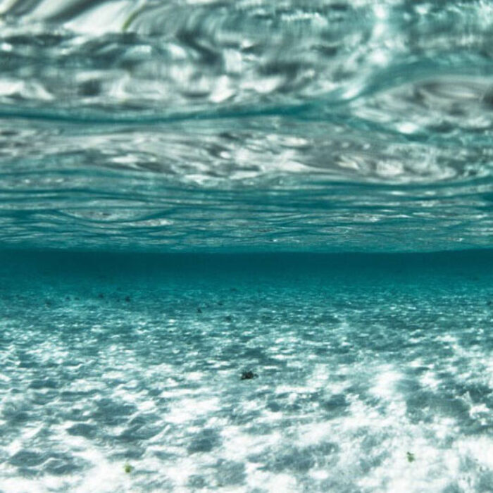 Ocean water