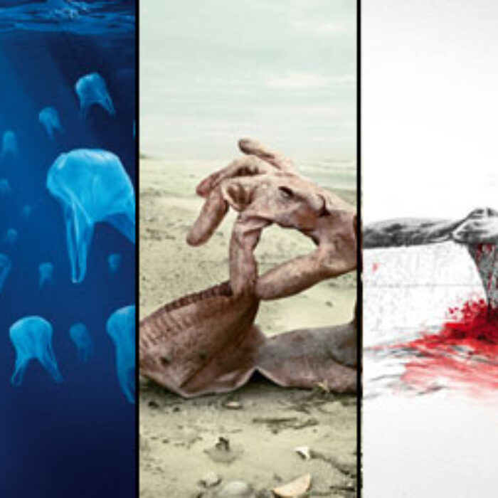 Young and Rubicam Paris have worked with Surfrider Europe for ten years and created some of the best advertisements I've ever seen, in any sector. Here's four of my absolute favorites.