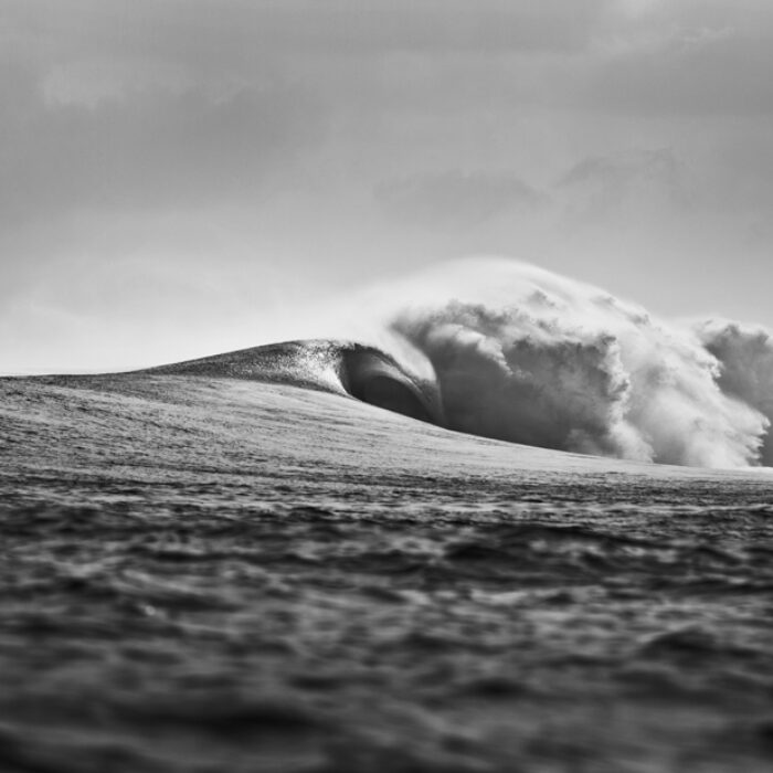 Wild Horses. Photo: Matt Clark