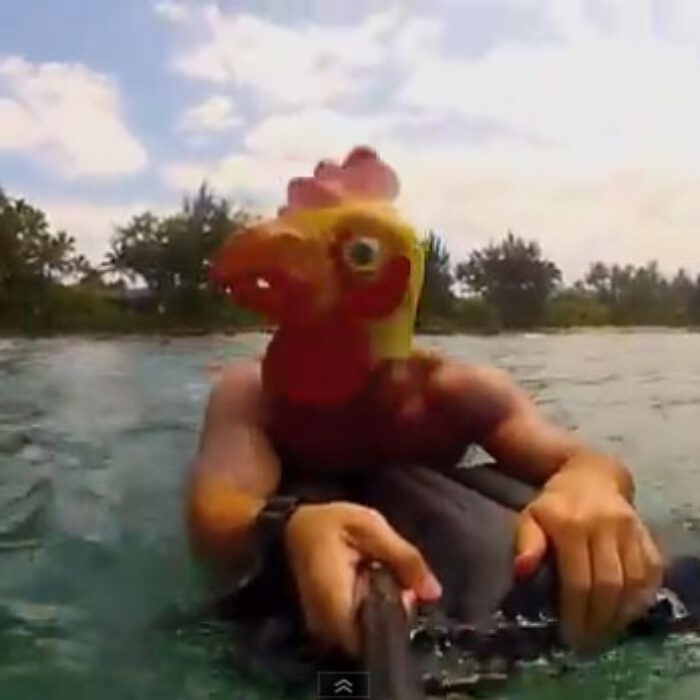 Bodysurfing in a chicken mask. What?