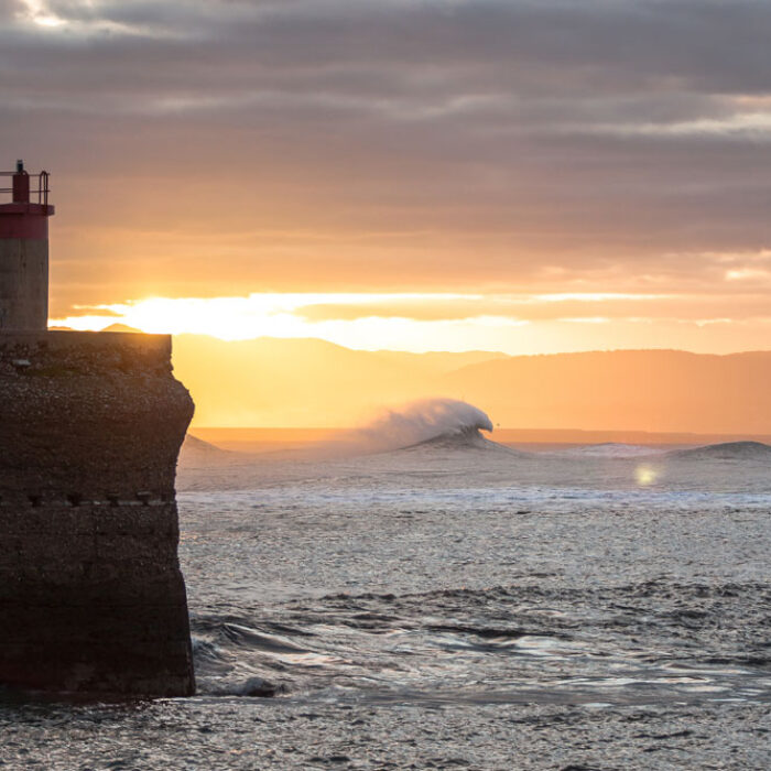 Pure Morning. Photo: Elmo Hernandez