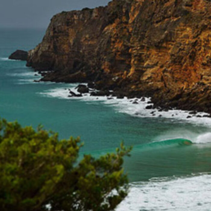 Best 11 photos from The Inertia's photographers throughout the month of May.