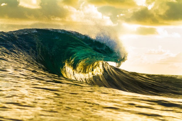 Emerald Gold by Bryce Johnson Emerald Gold by Bryce Johnson