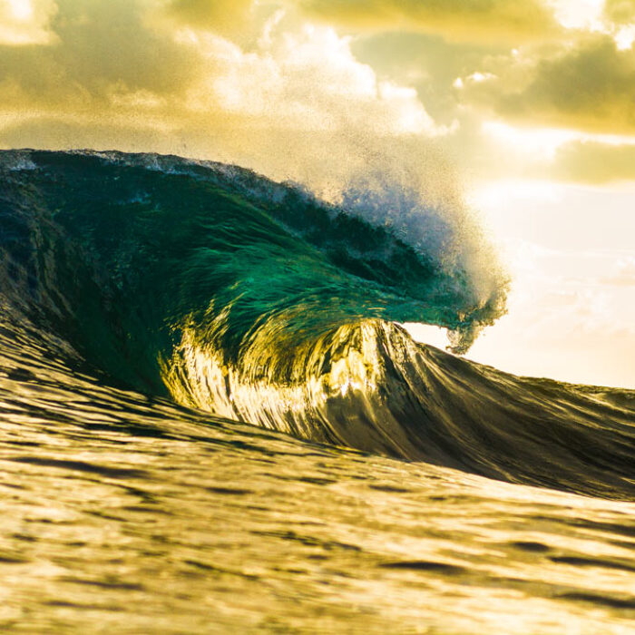 Emerald Gold by Bryce Johnson