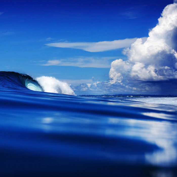 "Visions." Lance's Right, Indonesia. Photo: Matt Clark