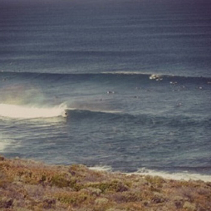 Three Bears, West australia, west oz, australia, perth, surfing, shark encounter, shark story, sharks