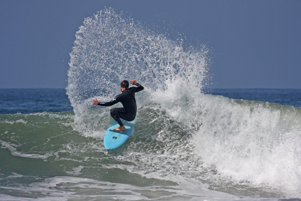 MJ_Magnolia_Octafish