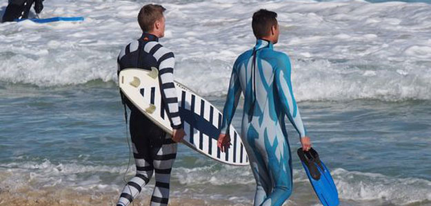 I think I'll take the shark, thank you.