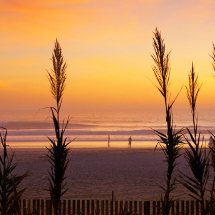 Learning to surf in the sunset of life. Image: Lucas Tozzi