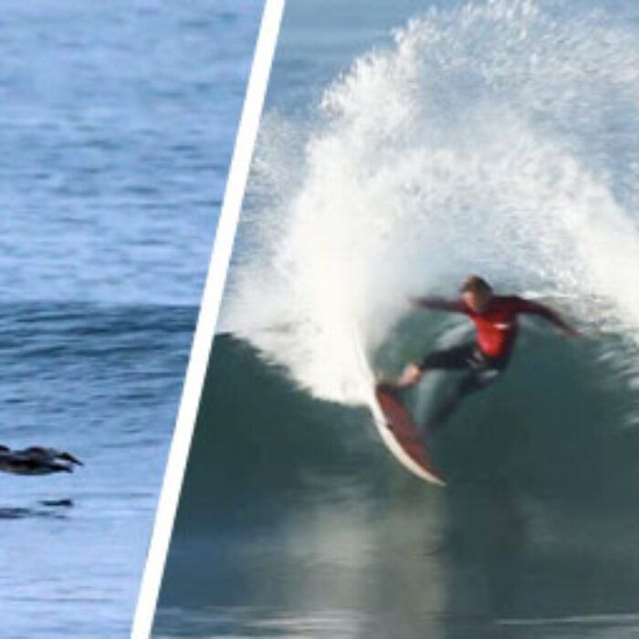 I make surf movies of some of the guys in our local scene down here in San Diego. A few weeks ago, a friend invited me to come up to Lowers and film the freesurfs that preceded the Hurley Pro. The result is this edit.