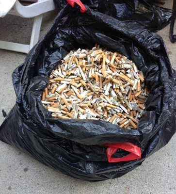 Photo courtesy of Surfrider Foundation/Jim Moriarty