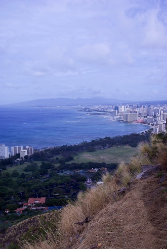 The molasses spill occured only a couple miles from the favorited Waikiki. Photo: Shutterstock/April Edwards
