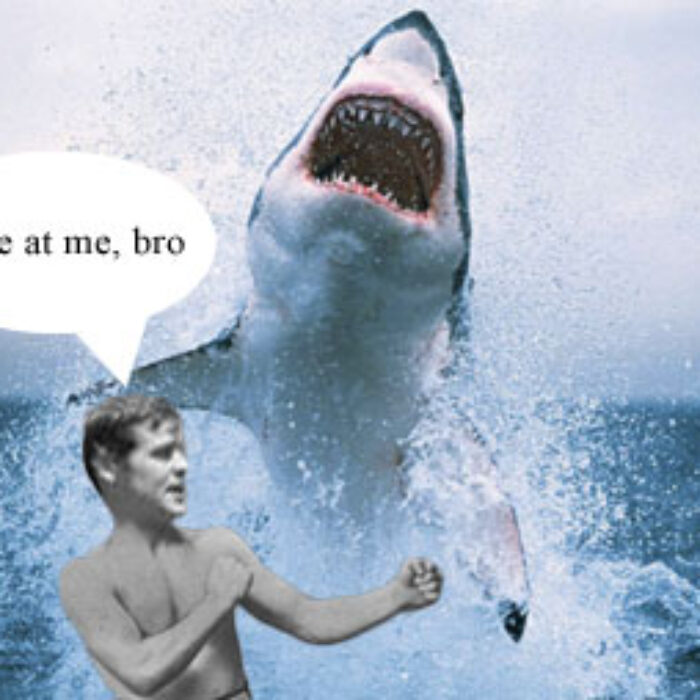 Jeff Horton, a Kauai surfer and former boxer, beat up a shark on Sunday morning. Horton and about ten others were surfing near Kilauea at Pila‘a Beach when a fin popped up.