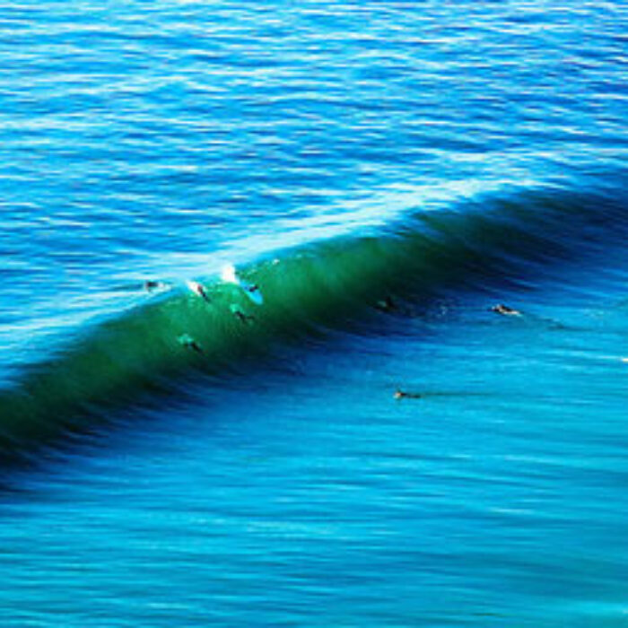 Just to the right sits the UCSD campus. Not bad. Photo: Anthony Ghiglia