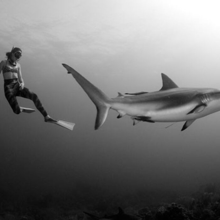 Would you bet your life on a gadget? Photo: Lia Barrett
