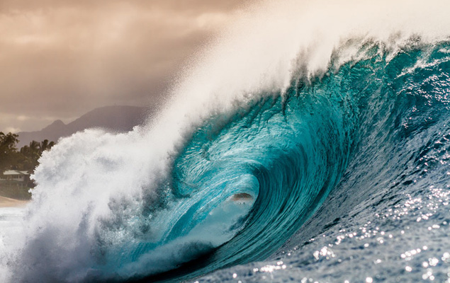 Forever. Photo: Jeremiah Klein