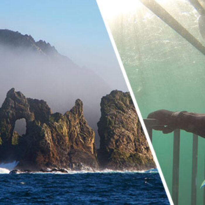 “Grab the camera. He’s going to get bit,” said James Moskito, the expedition leader aboard the Superfish. He was pointing at a small outcropping of rock just off South East Farallon Island, one part of a desolate, barren chain of windswept islands thirty miles west of San Francisco. Photos: Seth Migdail