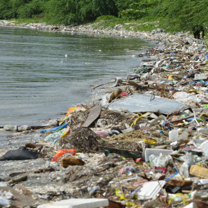 In a new film called Plastic Paradise, Angela Sun takes us on a journey and investigates the slow-motion disaster that is taking place right before our eyes.
