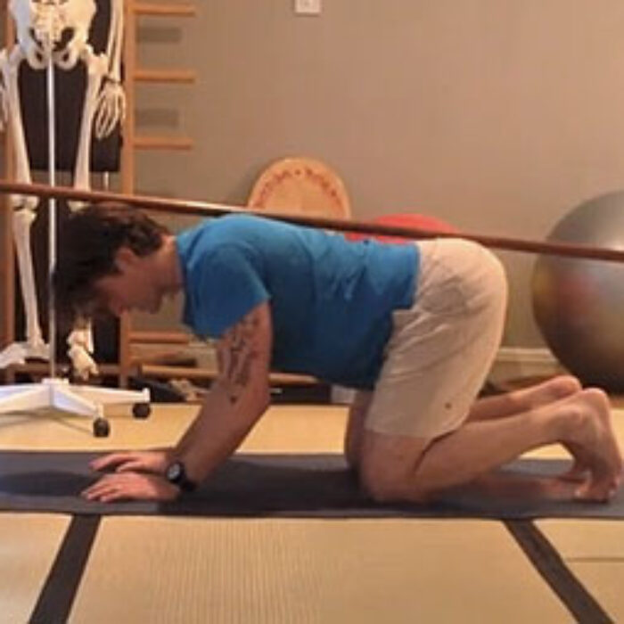 So why should you bother with the Horsestance? If you have ever experienced lower back pain or lumbo pelvic pain, then this exercise can work magic in helping you recondition your body back to health.