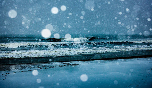 Fallen Snow. Photo: Matt Clark