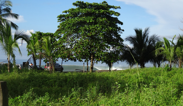 The view from our place was worth far more than we paid. Photo: Harry Patchett
