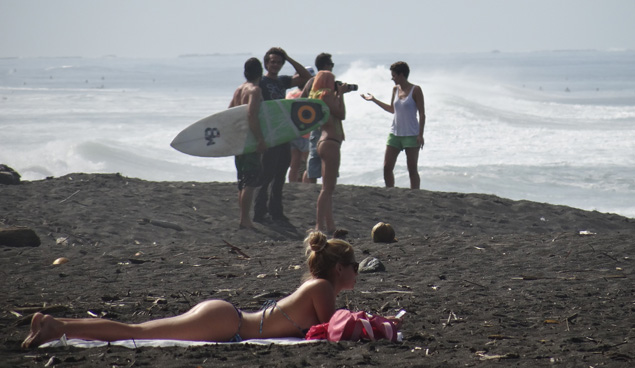 The wildlife. Photo: Harry Patchett