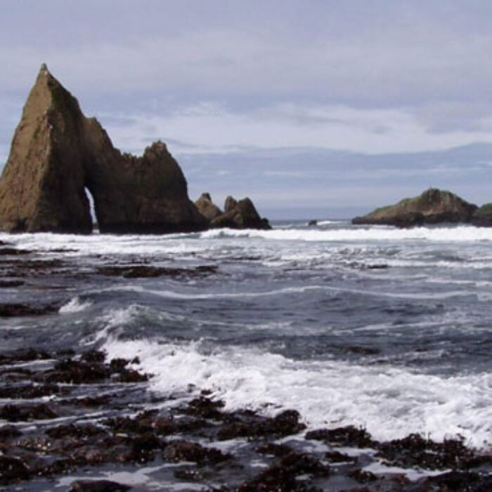 Martin's Beach. Photo: Open Martin's Beach.