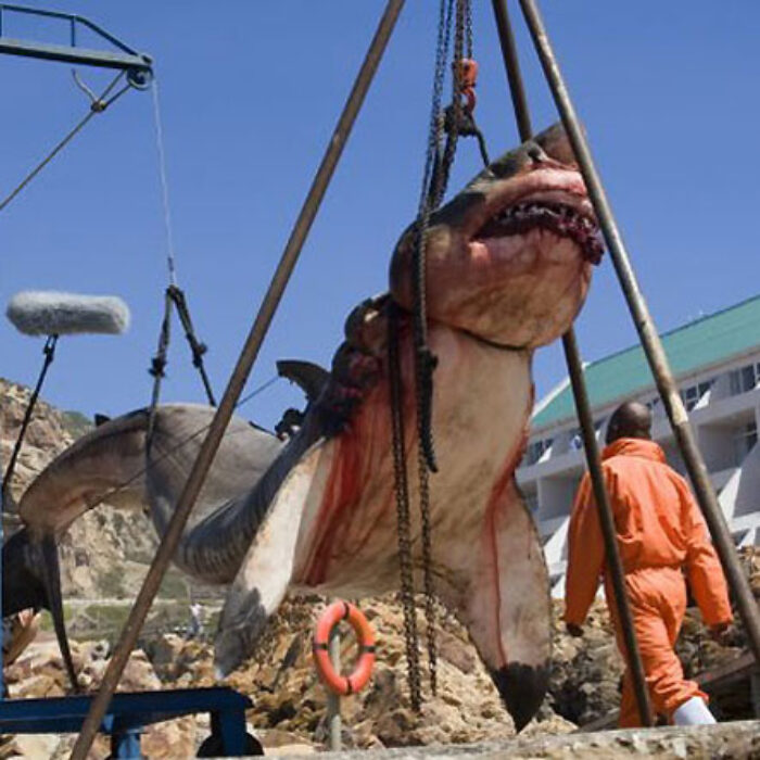Don't want to see this in the water, but it's just as bad to see it out.