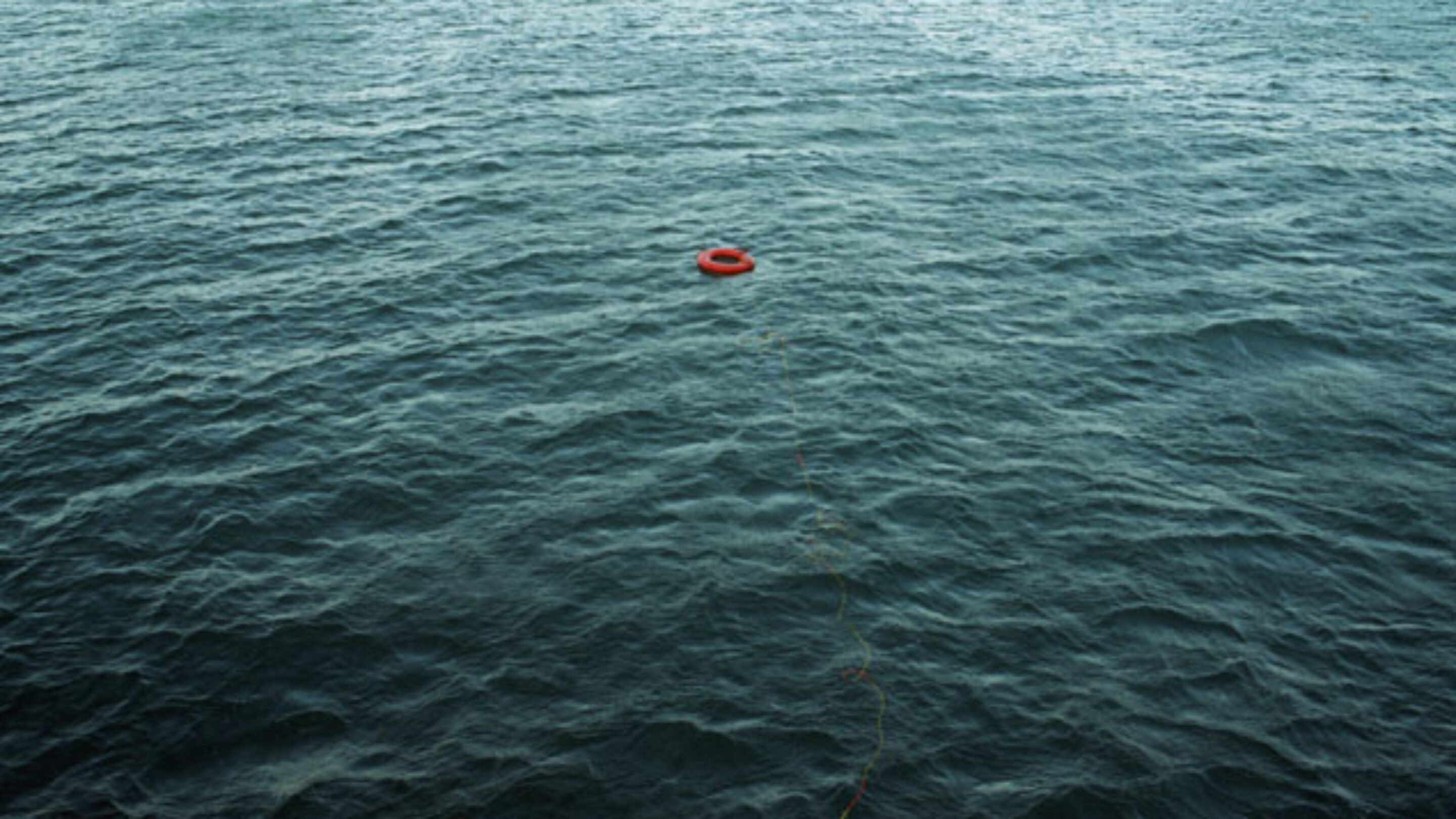 Photo: Will Adler